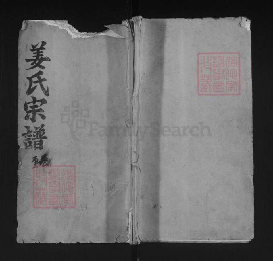 湖北省武汉市新洲区姜氏孝友堂族谱-姜氏宗谱.pdf电子版缩略图