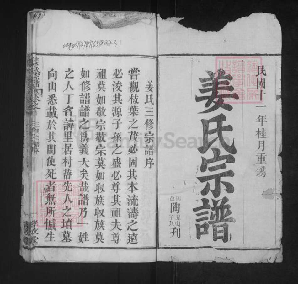 湖北省武汉市新洲区姜氏孝友堂族谱-姜氏宗谱.pdf电子版预览图1