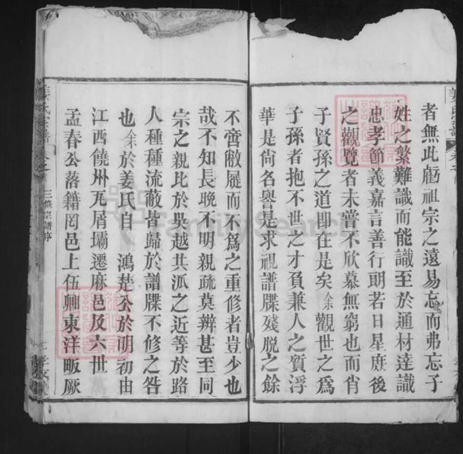 湖北省武汉市新洲区姜氏孝友堂族谱-姜氏宗谱.pdf电子版预览图2