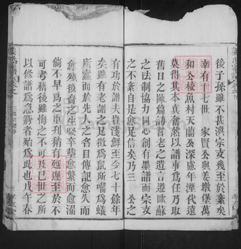 湖北省武汉市新洲区姜氏孝友堂族谱-姜氏宗谱.pdf电子版预览图3