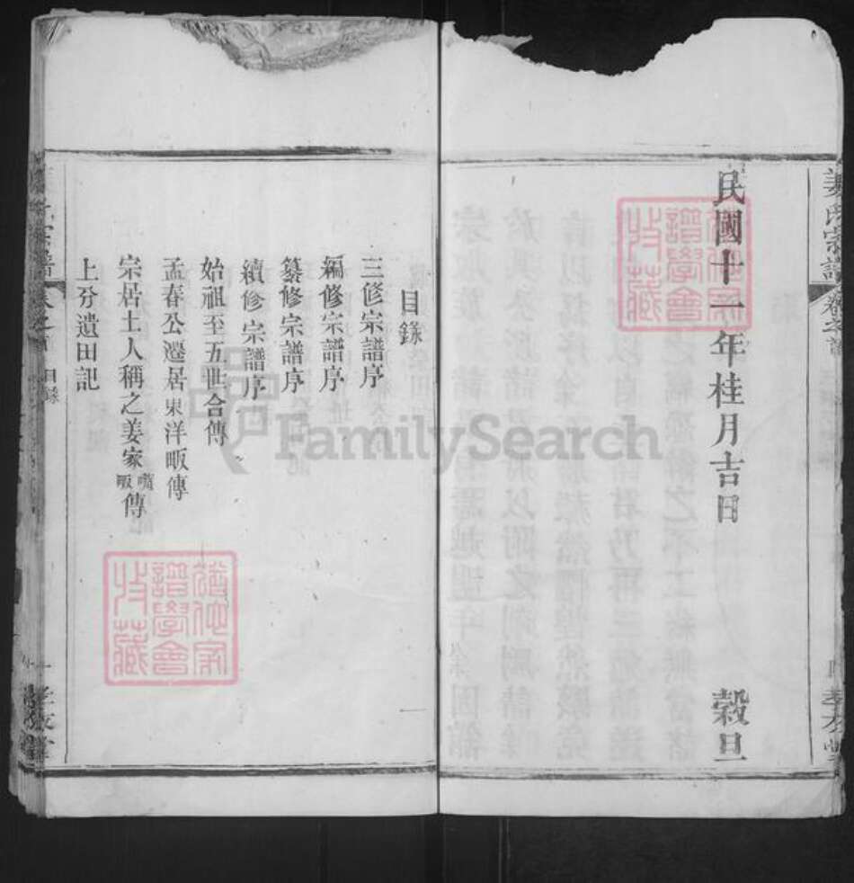 湖北省武汉市新洲区姜氏孝友堂族谱-姜氏宗谱.pdf电子版预览图5