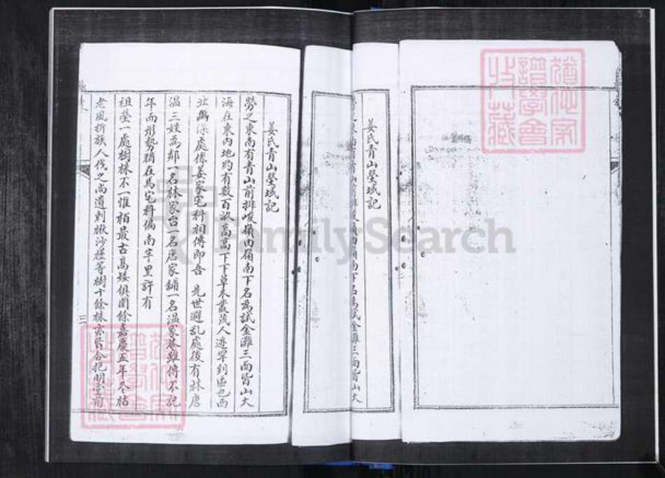 山东省青岛市崂山区姜氏族谱-桑园社区姜氏族谱.pdf电子版预览图4