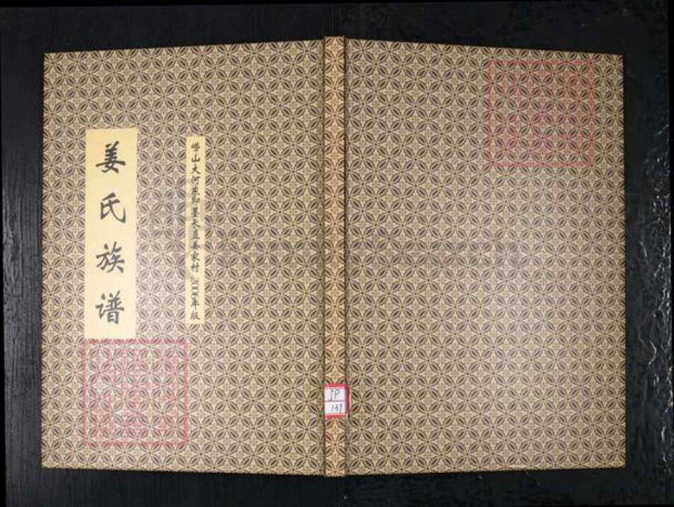 山东省青岛市崂山区姜氏族谱-姜氏族谱.崂山大河东即墨长直姜家村.pdf电子版缩略图