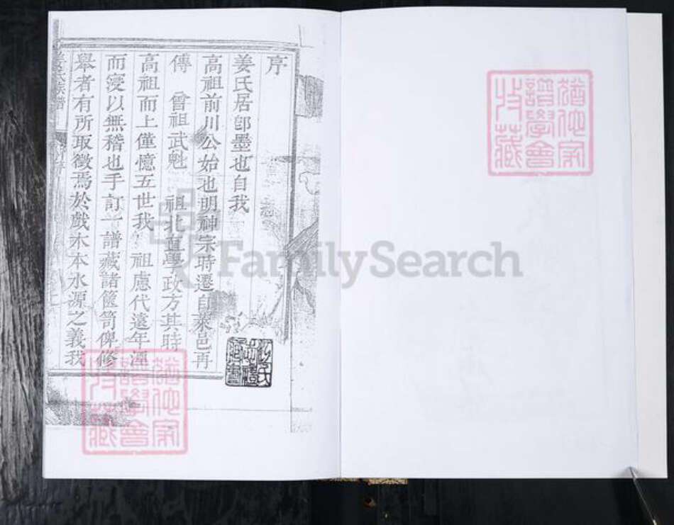 山东省青岛市崂山区姜氏族谱-姜氏族谱.崂山大河东即墨长直姜家村.pdf电子版预览图2