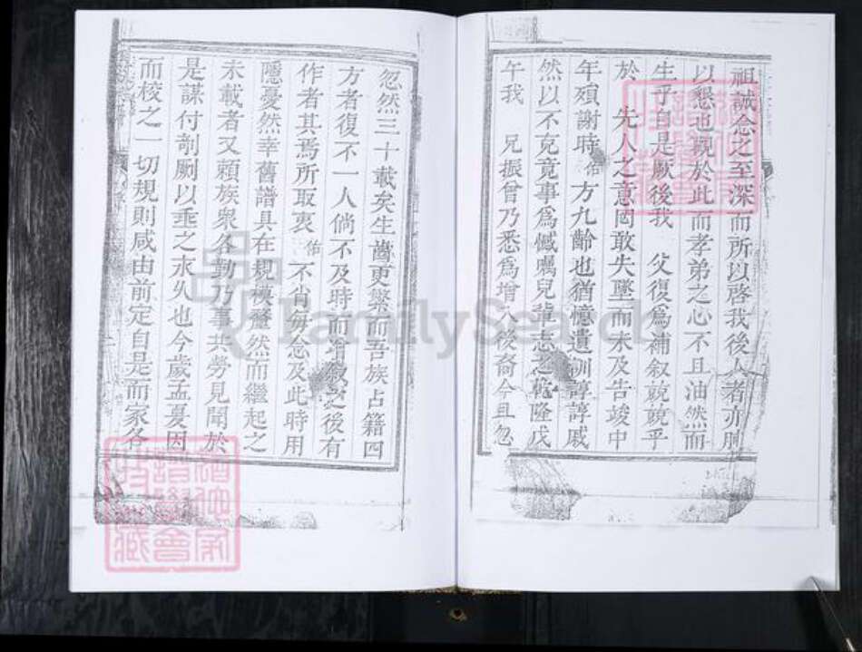 山东省青岛市崂山区姜氏族谱-姜氏族谱.崂山大河东即墨长直姜家村.pdf电子版预览图3