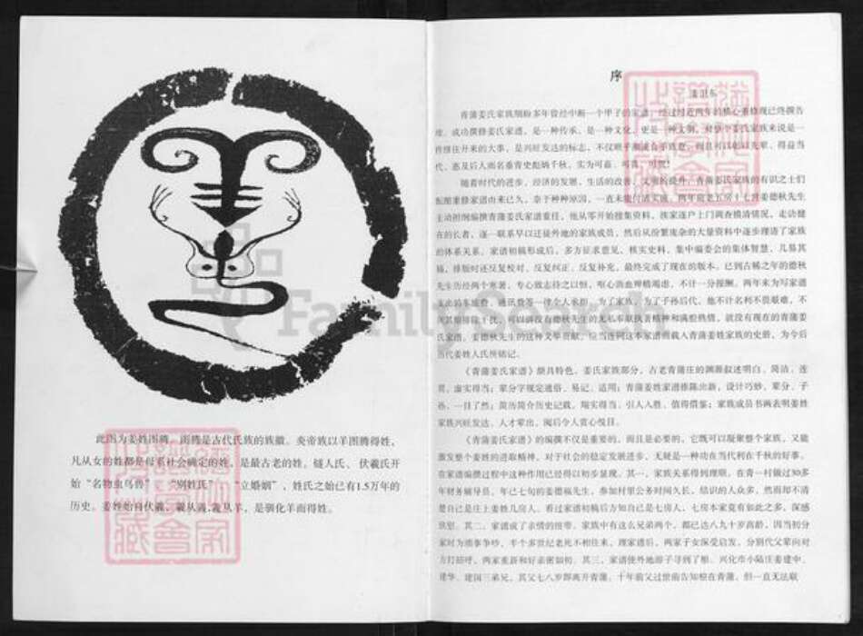 江苏省盐城市东台市溱东镇姜氏赐履堂族谱-青蒲姜氏家谱.pdf电子版预览图1