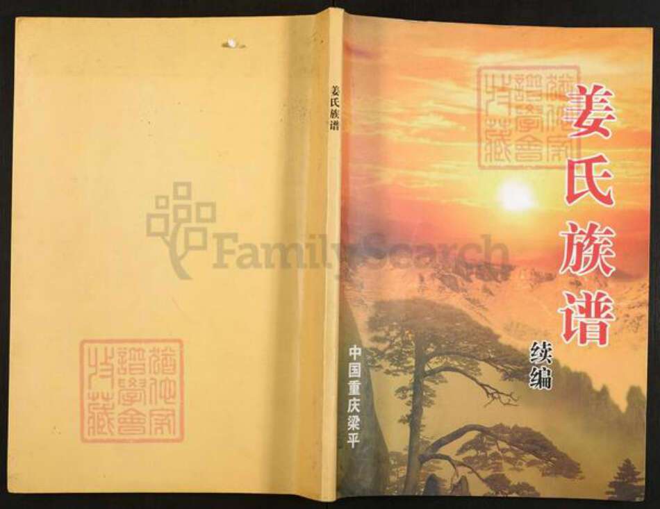 重庆市梁平区姜氏族谱-姜氏族谱.pdf电子版缩略图