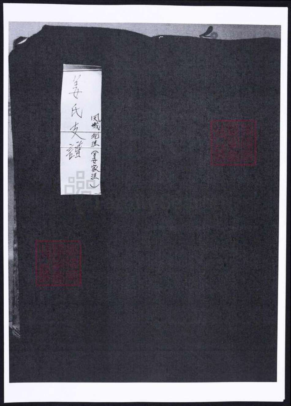 山东省烟台市海阳市姜氏族谱-姜氏支谱.pdf电子版缩略图