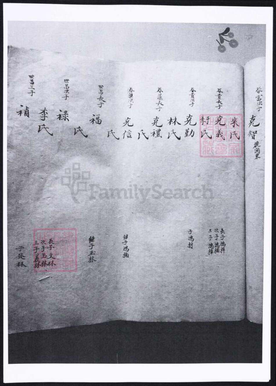 山东省烟台市海阳市姜氏族谱-姜氏支谱.pdf电子版预览图2