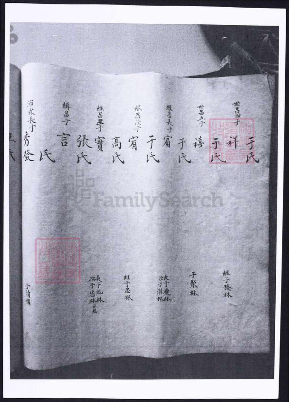 山东省烟台市海阳市姜氏族谱-姜氏支谱.pdf电子版预览图3