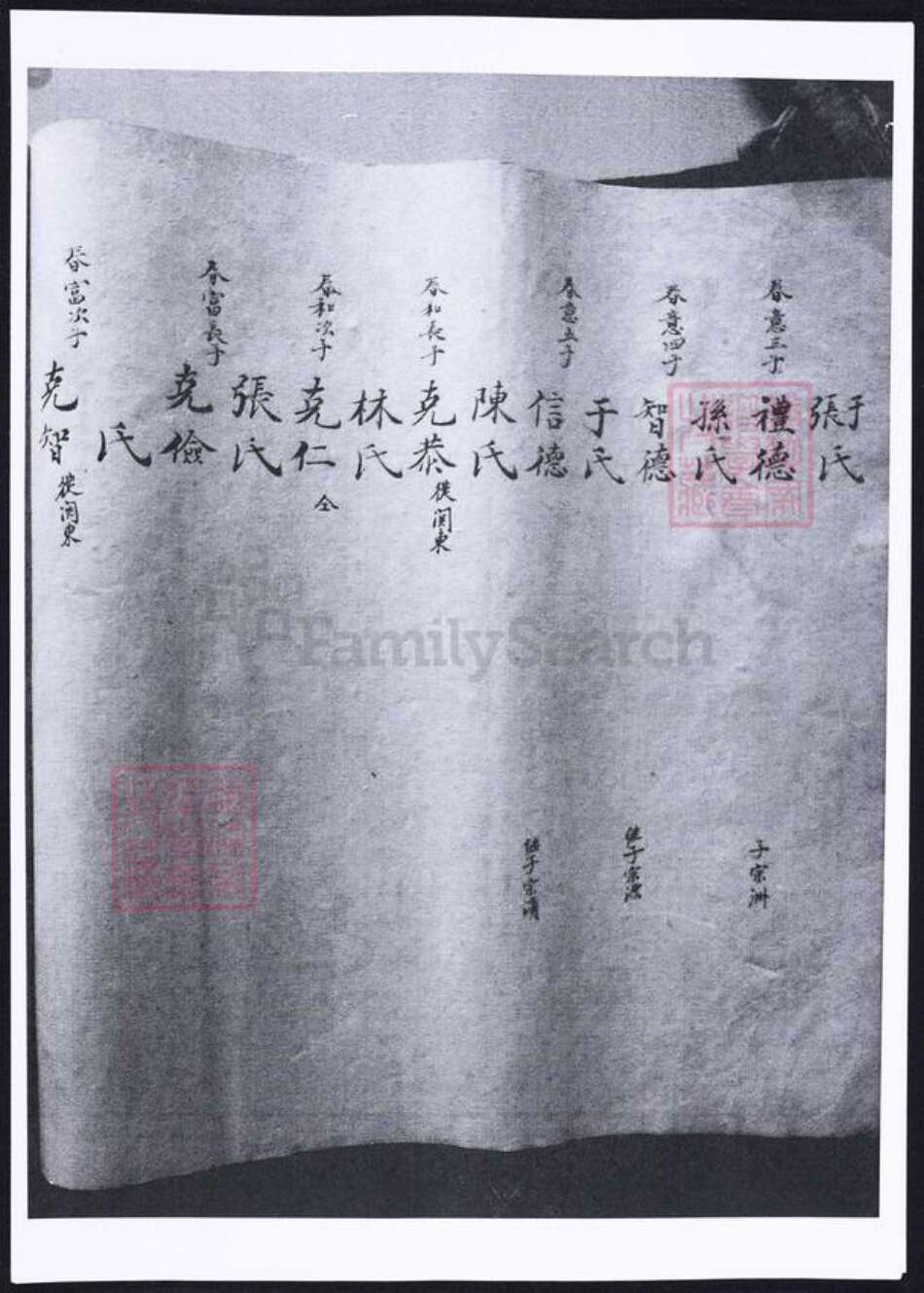 山东省烟台市海阳市姜氏族谱-姜氏支谱.pdf电子版预览图4