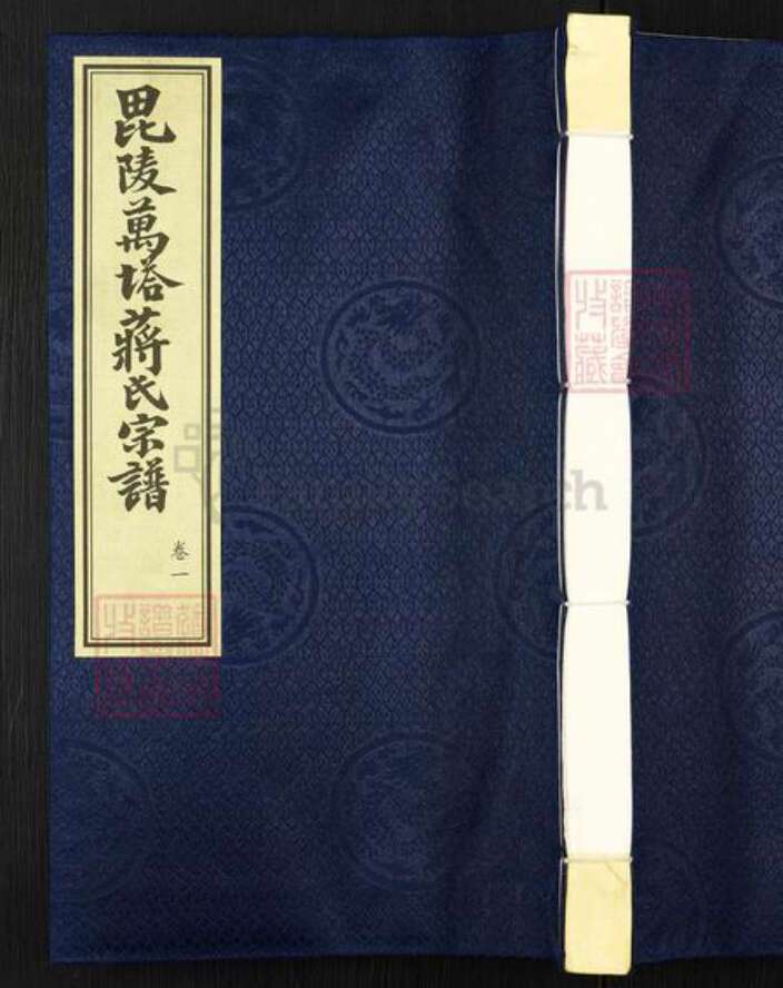 江苏省常州市武进县蒋氏乐义堂族谱-毘陵万塔蒋氏宗谱.pdf电子版缩略图