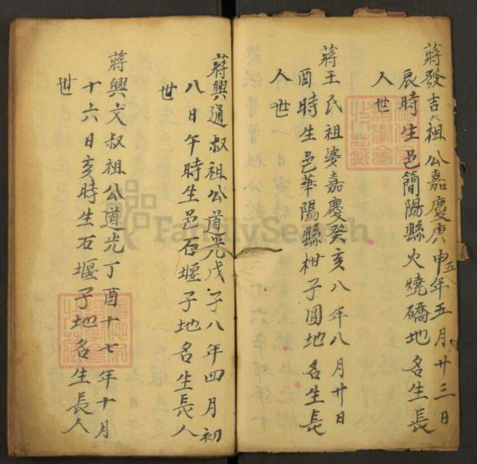 四川省成都市崇州市街子镇蒋氏族谱-蒋氏族谱.pdf电子版预览图2