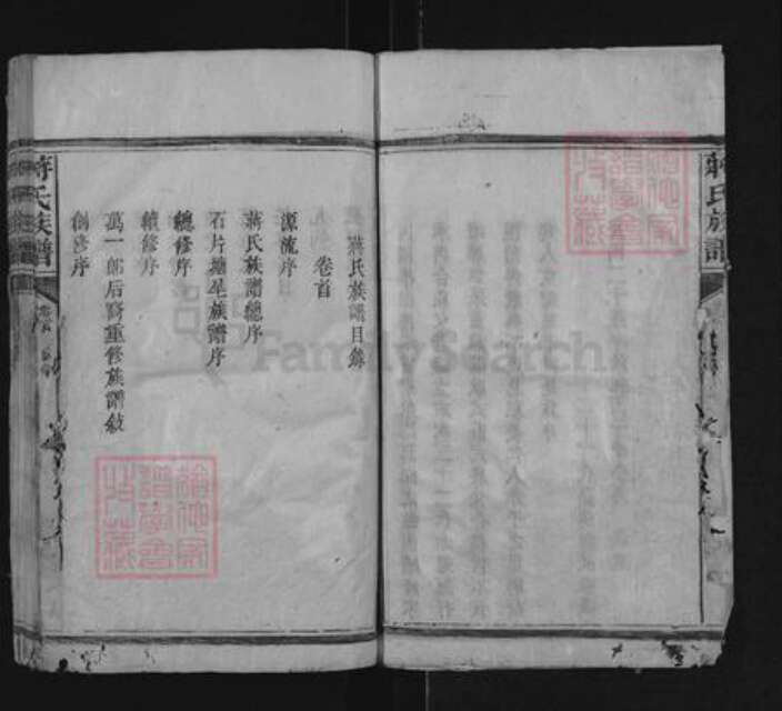 湖南省邵阳市隆回县滩头镇蒋氏族谱-蒋氏族谱.pdf电子版预览图3