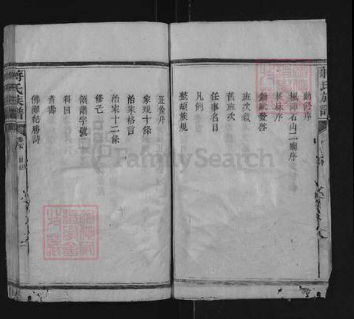 湖南省邵阳市隆回县滩头镇蒋氏族谱-蒋氏族谱.pdf电子版预览图4