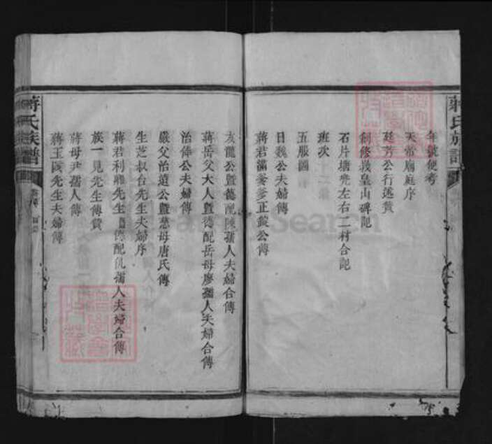 湖南省邵阳市隆回县滩头镇蒋氏族谱-蒋氏族谱.pdf电子版预览图5