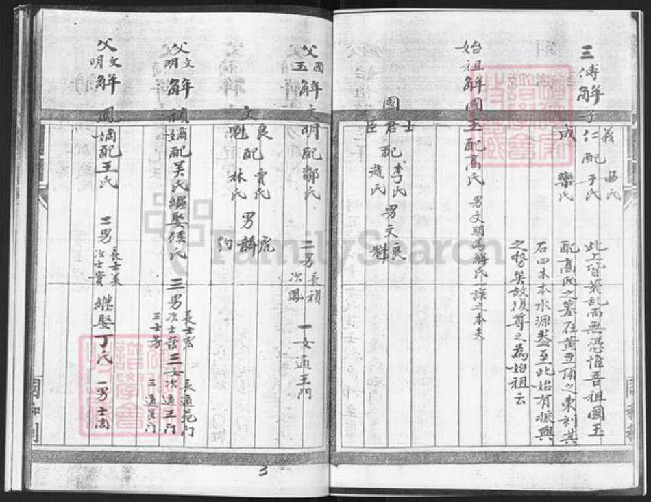 山东省烟台市栖霞市庄园街道解氏族谱-栖霞市徐家洼村解氏谱书.pdf电子版预览图3