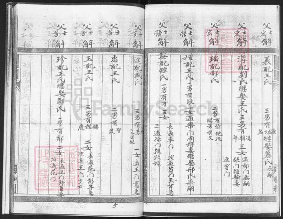 山东省烟台市栖霞市庄园街道解氏族谱-栖霞市徐家洼村解氏谱书.pdf电子版预览图5