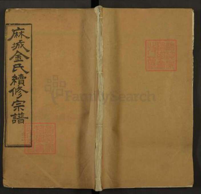 湖北省黄冈市麻城市金氏济美堂族谱-麻城金氏续修宗谱.pdf电子版缩略图