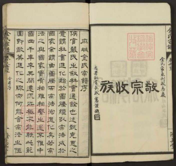 湖北省黄冈市麻城市金氏济美堂族谱-麻城金氏续修宗谱.pdf电子版预览图5