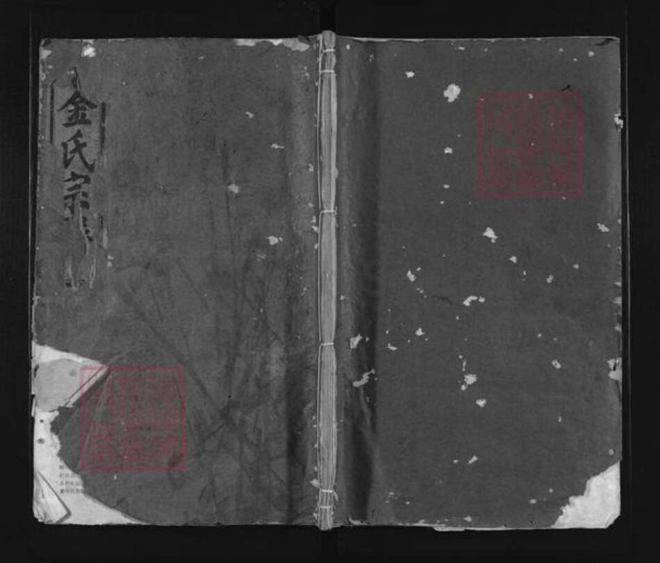 浙江省丽水市缙云县金氏族谱-彭城郡金氏宗谱.pdf电子版缩略图