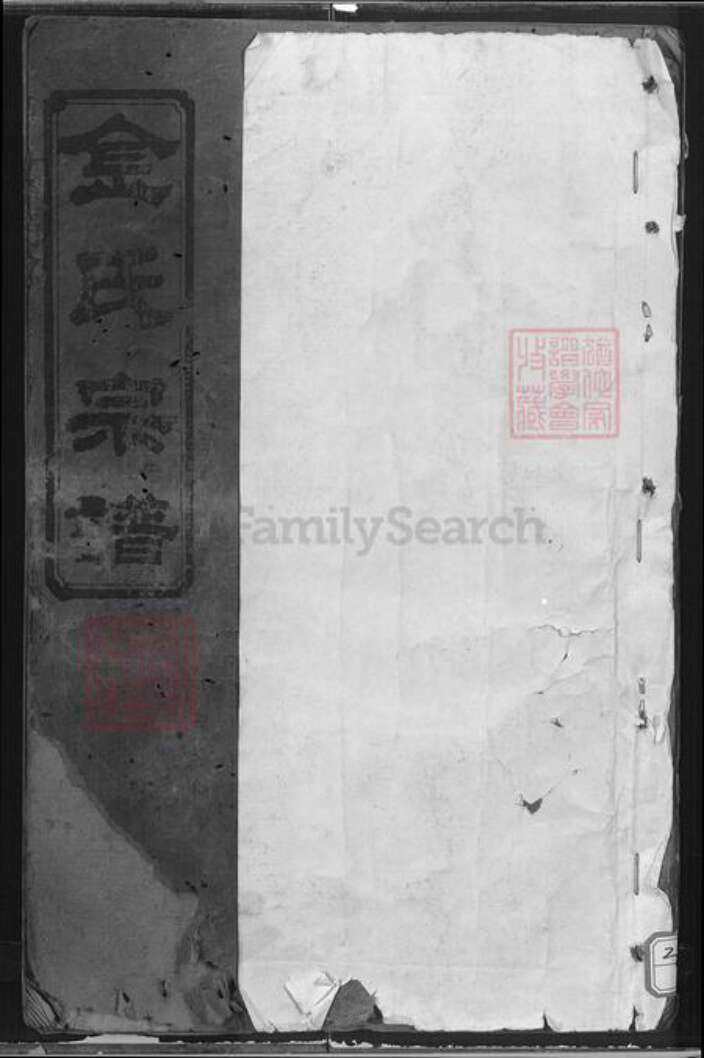 湖北省咸宁市通城县金氏彭城堂族谱-金氏宗谱.pdf电子版缩略图