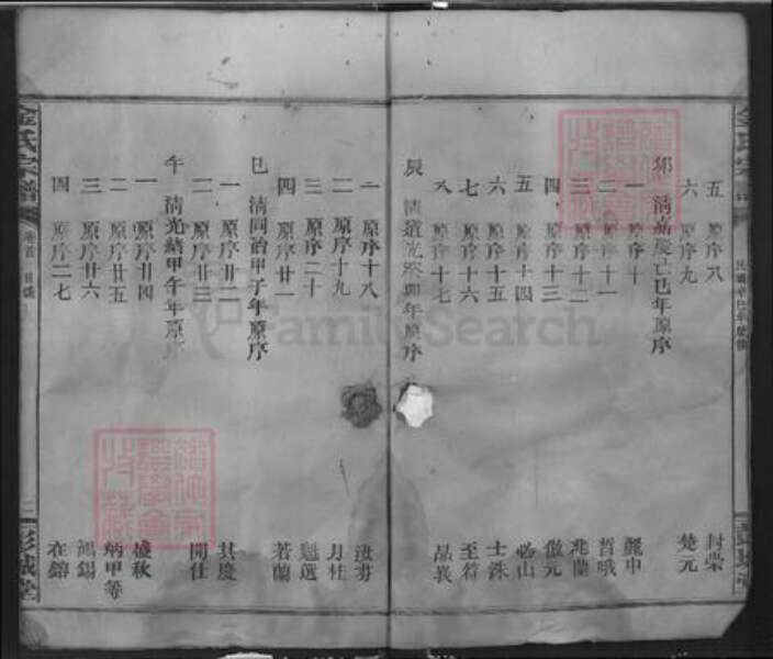 湖北省咸宁市通城县金氏彭城堂族谱-金氏宗谱.pdf电子版预览图2