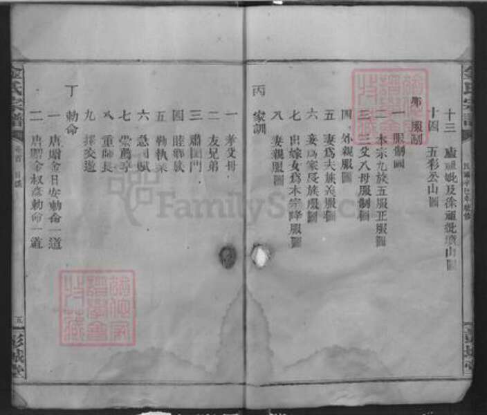 湖北省咸宁市通城县金氏彭城堂族谱-金氏宗谱.pdf电子版预览图5