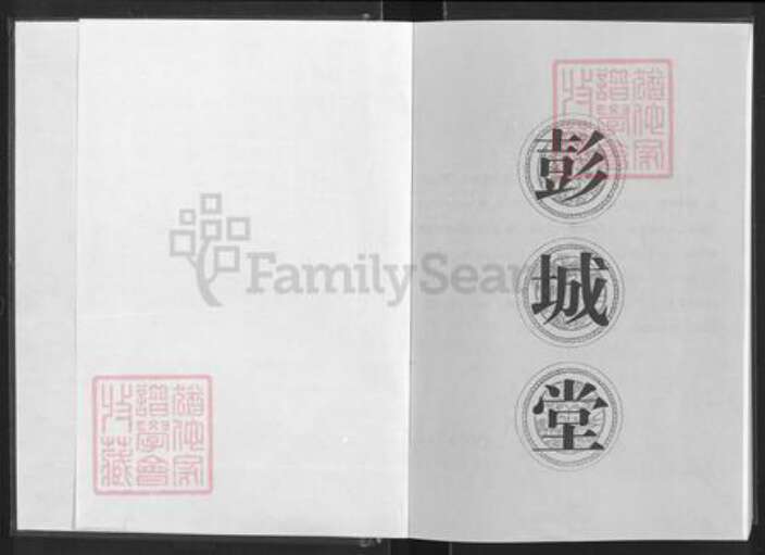 湖北省咸宁市通城县金氏彭城堂族谱-金氏宗谱.pdf电子版预览图1