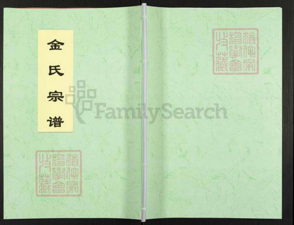 江苏省扬州市高邮市金氏宝善堂族谱-金氏宗谱.pdf电子版缩略图