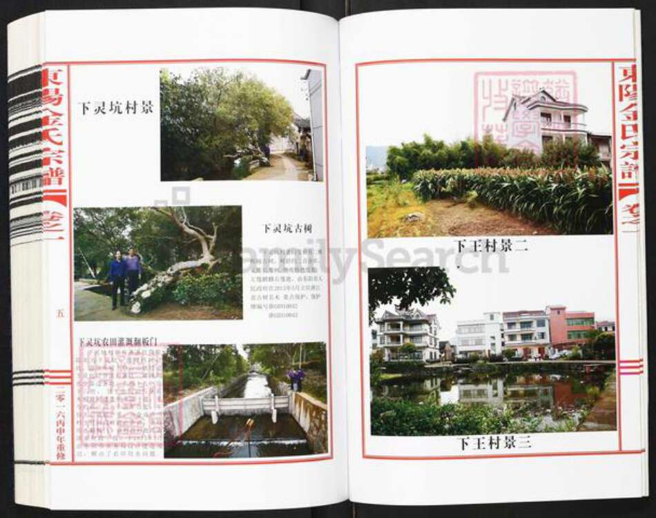 浙江省金华市东阳市金氏敦睦堂族谱-东阳市金氏宗谱.pdf电子版预览图5