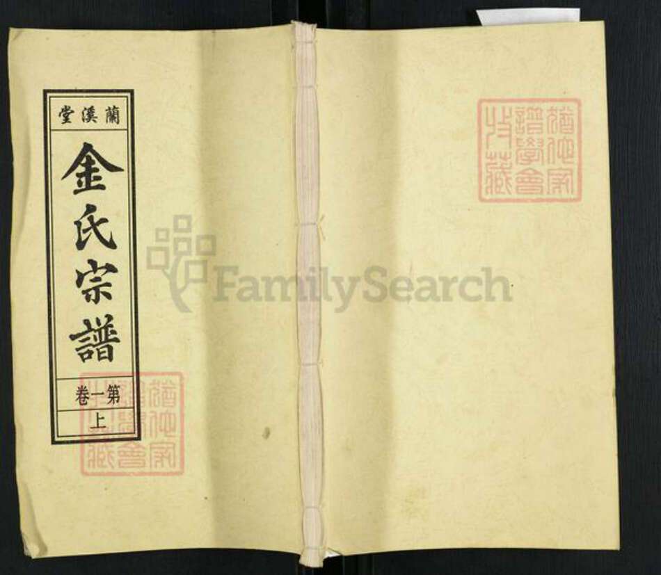 安徽省安庆市桐城市双港镇金氏兰溪堂族谱-金氏宗谱.pdf电子版缩略图