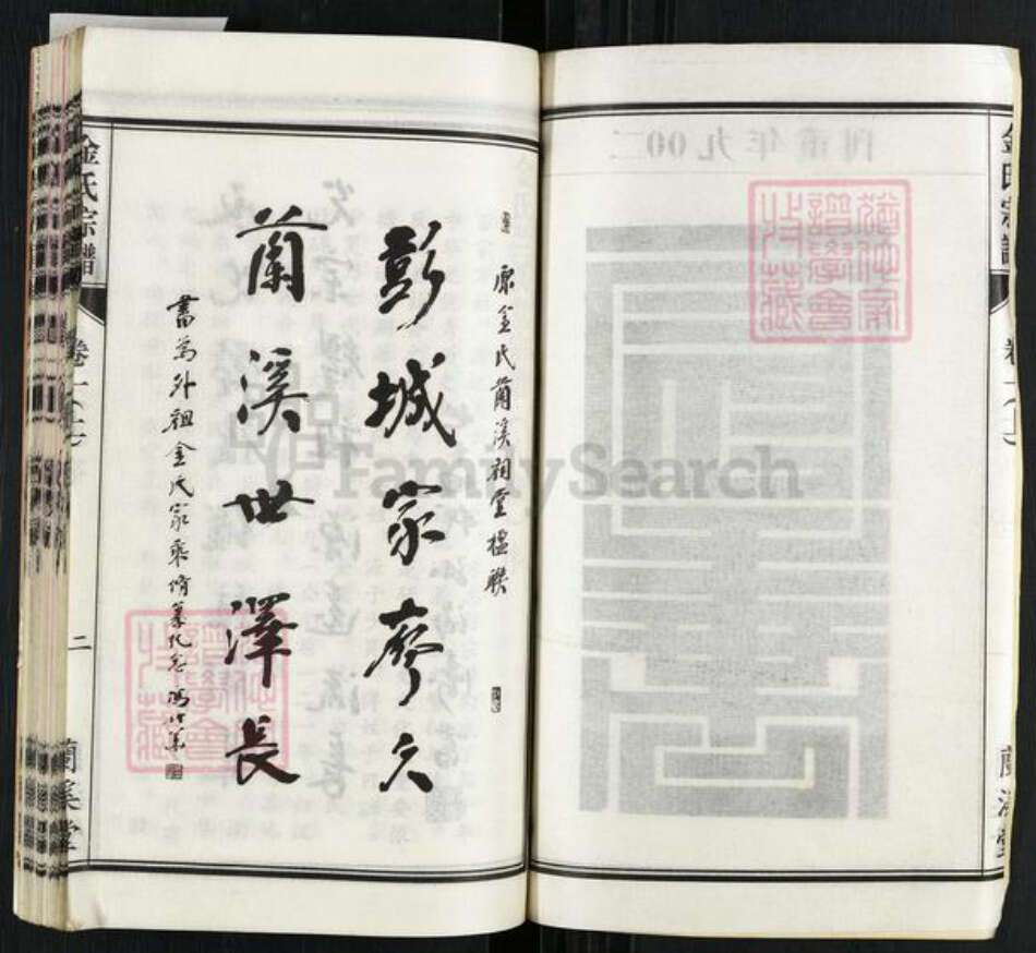 安徽省安庆市桐城市双港镇金氏兰溪堂族谱-金氏宗谱.pdf电子版预览图2