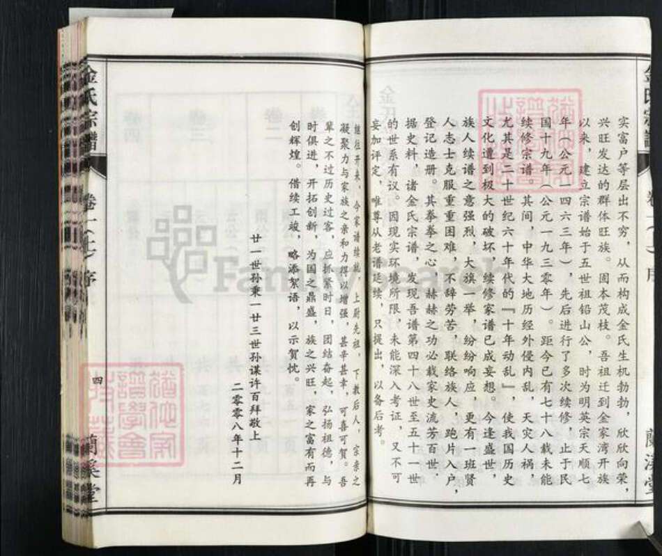 安徽省安庆市桐城市双港镇金氏兰溪堂族谱-金氏宗谱.pdf电子版预览图4