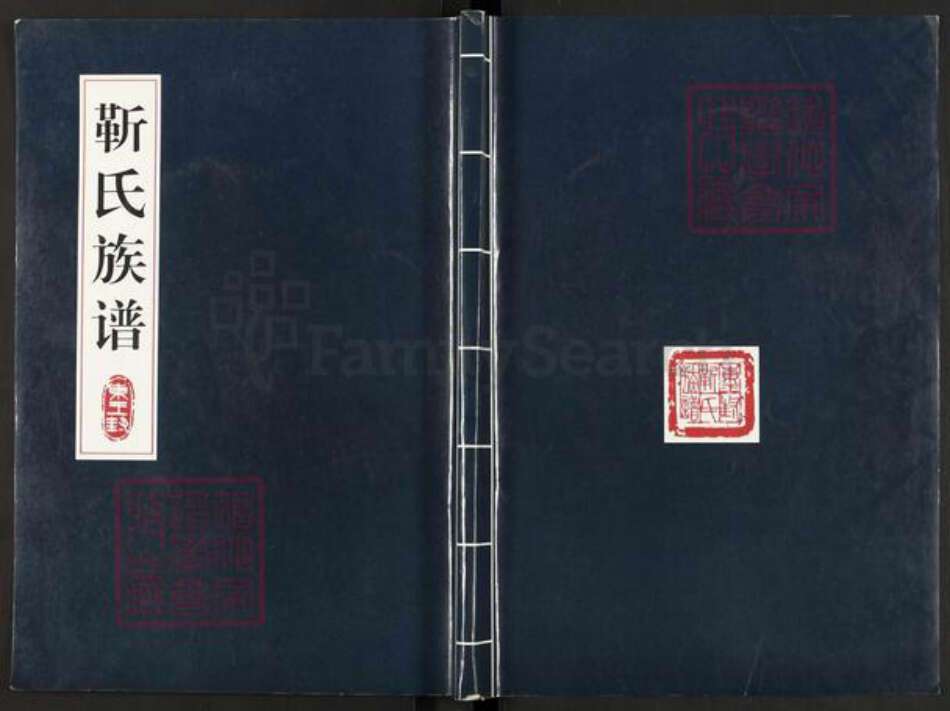 河南省焦作市中站区靳氏族谱-东王封靳氏族谱.pdf电子版