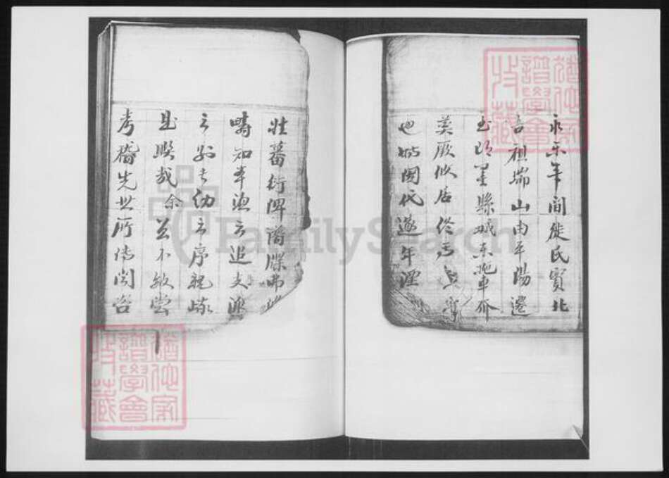 山东省青岛市即墨区鞠氏族谱-鞠氏族谱.pdf电子版预览图3