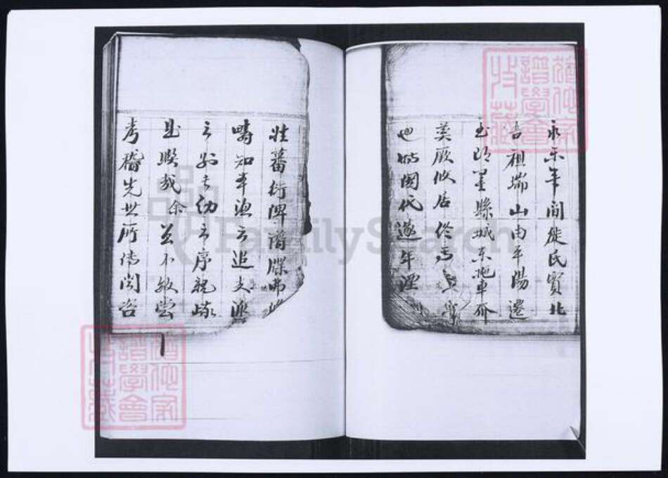山东省青岛市即墨区鞠氏族谱-鞠氏族谱.pdf电子版预览图3