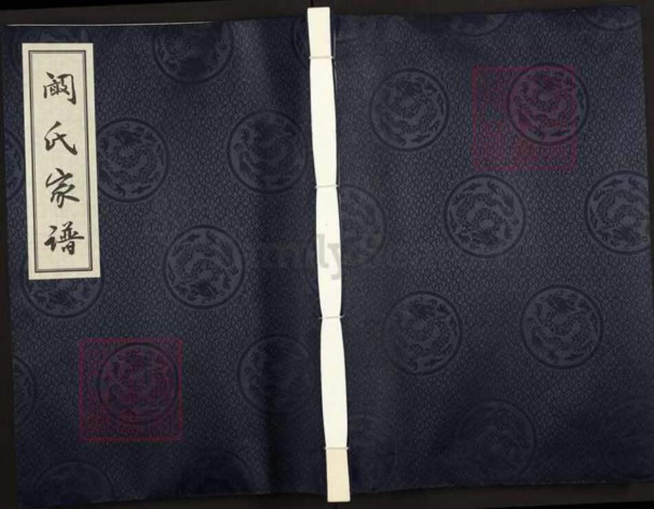 江苏省盐城市亭湖区阚氏族谱-阚氏家谱.pdf电子版缩略图