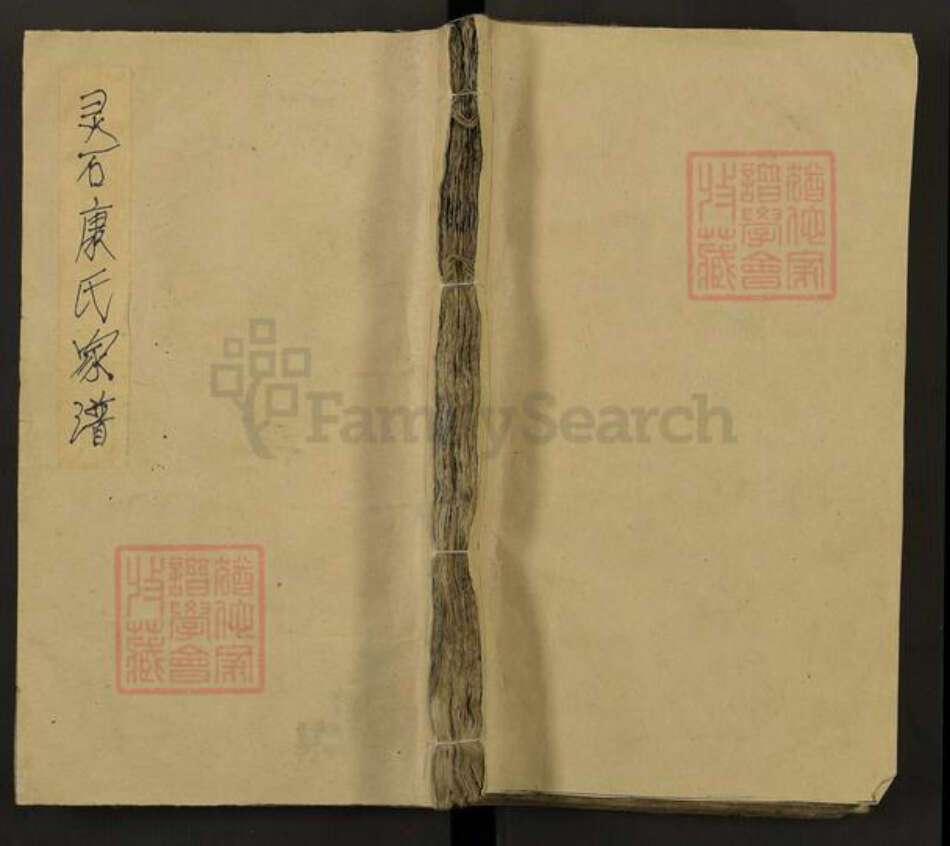 山西省晋中市灵石县段纯镇康氏族谱-灵石康氏家谱.pdf电子版缩略图