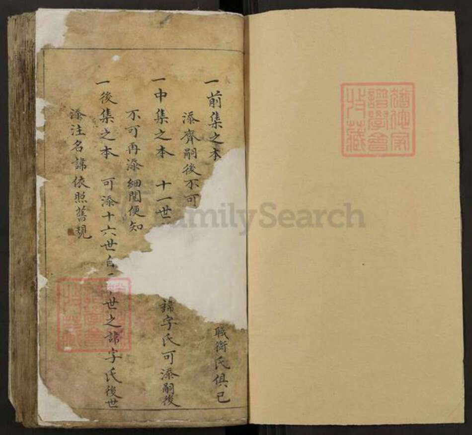 山西省晋中市灵石县段纯镇康氏族谱-灵石康氏家谱.pdf电子版预览图1