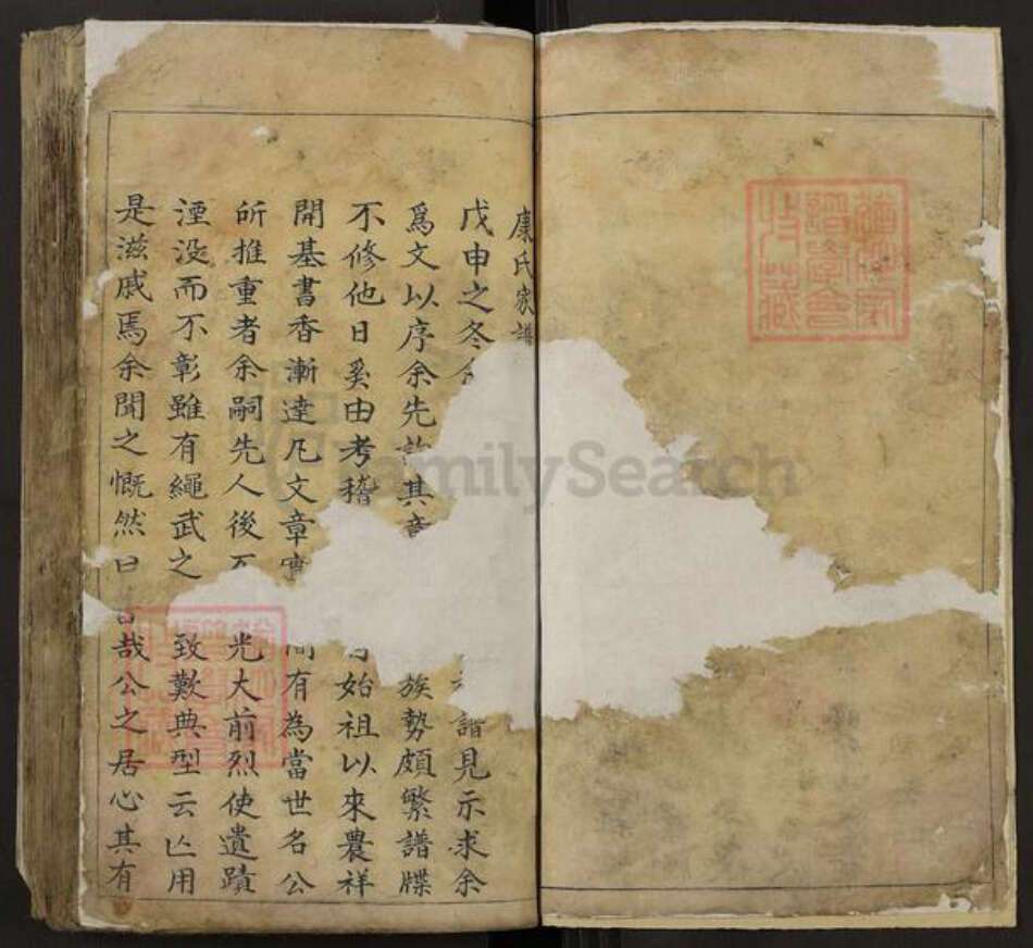 山西省晋中市灵石县段纯镇康氏族谱-灵石康氏家谱.pdf电子版预览图2