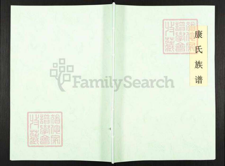 山东省青岛市城阳区康氏族谱-康氏族谱.pdf电子版缩略图