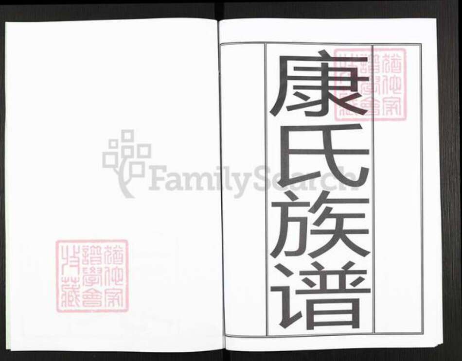 山东省青岛市城阳区康氏族谱-康氏族谱.pdf电子版预览图2