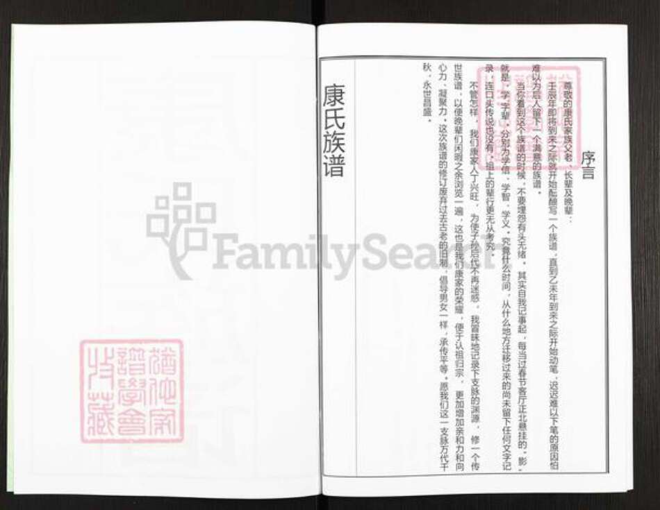 山东省青岛市城阳区康氏族谱-康氏族谱.pdf电子版预览图3