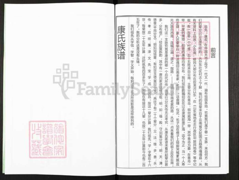 山东省青岛市城阳区康氏族谱-康氏族谱.pdf电子版预览图4