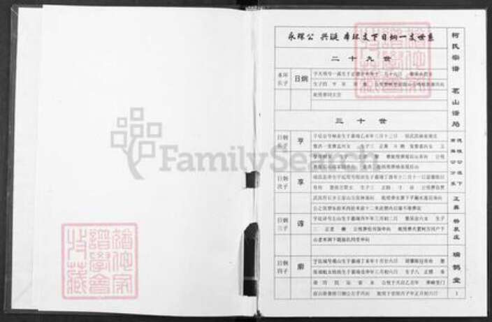 湖北省武汉市武昌区柯氏瑞鹊堂族谱-柯氏宗谱.pdf电子版预览图1