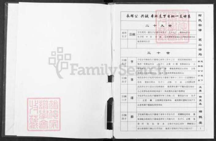 湖北省武汉市武昌区柯氏瑞鹊堂族谱-柯氏宗谱.pdf电子版预览图2