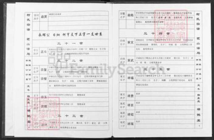 湖北省武汉市武昌区柯氏瑞鹊堂族谱-柯氏宗谱.pdf电子版预览图5