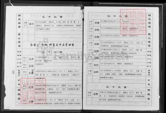 江西省九江市瑞昌市乐园乡柯氏瑞鹊堂族谱-柯氏宗谱.pdf电子版预览图2