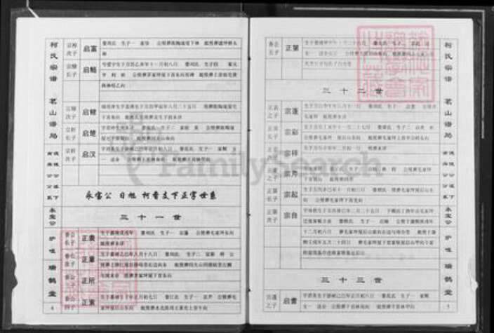 江西省九江市瑞昌市乐园乡柯氏瑞鹊堂族谱-柯氏宗谱.pdf电子版预览图3